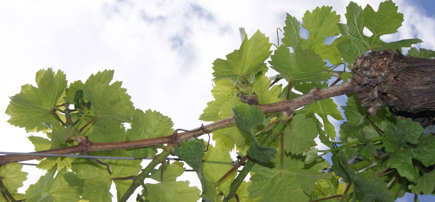 Quelle: Andrea Ludwig